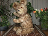 Antique Old Hermann Germany Bear 22 Inch Brown Mohair