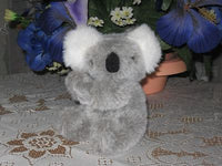 Bijenkorf Amsterdam Holland Koala Bear Plush