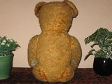 Antique 1930s Dutch Van Gelden Jointed Teddy Bear Light Brown Plush 21 Inch 54cm