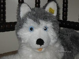 Steiff Molly Husky Dog 45 cm 104916 Button & Tag 1991