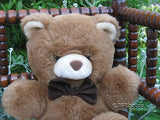 Dutch Holland Bart Smit Brown Teddy Bear