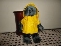 Halifax Nova Scotia Canada Grey Bear in Raincoat