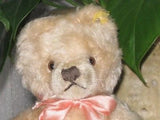 Steiff Original Teddy Bear 5319,01 0201/19