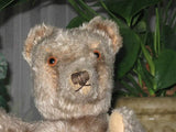 Antique 1949 Steiff Original Teddy Bear Jointed Gray Mohair 35 cm