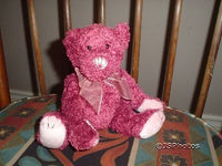 Ganz Teddy Bear Apple Spice Christmas Scented Plush  TBXAS 2001
