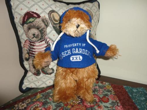 Busch Gardens Florida Teddy Bear wearing Hooded Sweatshirt Embroidered
