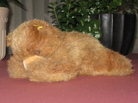 Steiff Floppy Teddy 5700/20 1978 - 1982 Button & Tag