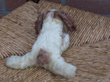 Steiff Floppy Cockie Mohair Spaniel Dog 5567/17 No ID