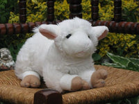 Lamb Lamby Plush Soft Eifa Quakenbrueck Germany