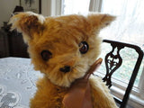 Antique German Gold Mohair Bear Handmade 18 Inch Cutest Expression 1960s