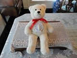 TIME OUT TEDDY Childrens Handmade Bear with Timer