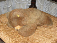 Steiff Floppy Teddy 5700/20 20CM 1978-82 Button & Tag