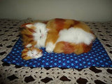 Sleeping Mother Cat & Baby Kitten on Quilt Real Fur