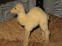 Old Antique Steiff Woolen Dromedary Camel 1953-1958 14cm No ID