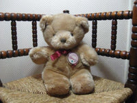 L Dake Zn Andrew Brownsword Someone Special Teddy Bear 1592581