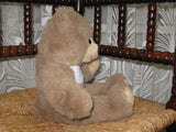 Steiff Molly Teddy Brown Squeaker 021251 36CM IDS