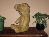 Old Antique 1930s Dutch Arthur Van Gelden Bear 50 CM 19.75 Inch