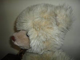 Unique Shaggy Teddy Bear w Eyes on Nose