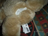 La Senza 1998 Strauss the Puppet Bear Plush 16 inch Retired