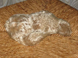 Steiff Floppy Zotty 17 CM 7317,00 59-67 Mohair NO ID