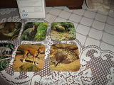 Australia Koala Kangaroo Wombat Dingo Vintage Coasters