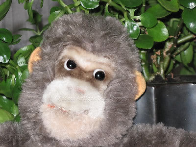 Antique Steiff Gorilla Gora Dralon 1961 - 1963 No IDS | Jadees