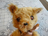 Antique German Gold Mohair Bear Handmade 18 Inch Cutest Expression 1960s