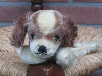 Steiff Floppy Cockie Mohair Spaniel Dog 5567/17 No ID