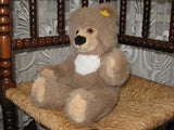 Steiff Molly Teddy Brown Squeaker 021251 36CM IDS