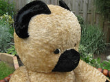 Antique 1930s Dutch 30 inch Van Gelden Growler Jointed Teddy Bear