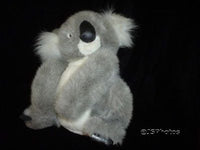 Ganz Koala Bear Heritage Collection 13 Inch Plush 1989