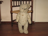 Old Antique 1930s Dutch Arthur Van Gelden Bear Gray 58 cm 22 Inch