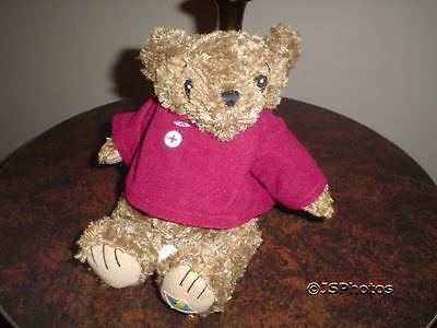 Little Teddy Left Behind Bear 2004 Rare