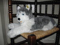 Steiff Molly Husky Dog 45 cm 104916 Button & Tag 1991