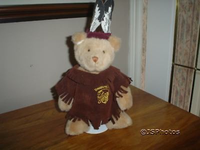 Treasures Inc. Story Book Bear Native Indian with Stand