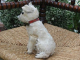 Antique Steiff Fox Terrier Dog 1903 - 1904 No IDs