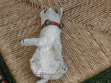 Antique Steiff Fox Terrier Dog 1903 - 1904 No IDs