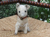 Antique Steiff Fox Terrier Dog 1903 - 1904 No IDs