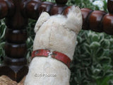 Antique Steiff Fox Terrier Dog 1903 - 1904 No IDs