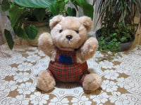 Kempenaar Holland Dutch Teddy Bear Plaid Clothing Beige 12 Inch