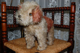 Old Antique Hermann German Mohair Fox Terrier w Bark