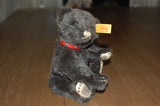 Steiff Classic Black Teddy Bear EAN 027703 Alpaca 7 Inch 2008 Button & Tag