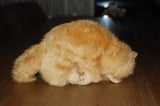 Steiff Red White Tabby Striped Kitten Katze Lying Aside 074936 1996 Button Tag