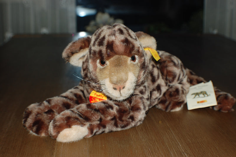 DSC_0073_800x.jpg?v=1647108194