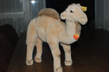 Steiff Hocky Dromedary Standing 1994 1999 066900 35 CM KFS Button Tag Shield