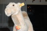 Steiff Hocky Dromedary Standing 1994 1999 066900 35 CM KFS Button Tag Shield