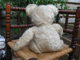 Antique Richard Diem Bear 50 CM White Mohair Fully Jointed 1940s Germany