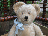 Antique Richard Diem Bear 30 CM White Mohair Fully Jointed 1930s Germany