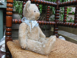 Antique Richard Diem Bear 30 CM White Mohair Fully Jointed 1930s Germany