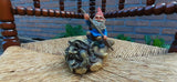 Rien Poortvliet David Gnome KARL Floating Down River 6.9" Box Enesco 1997 RARE